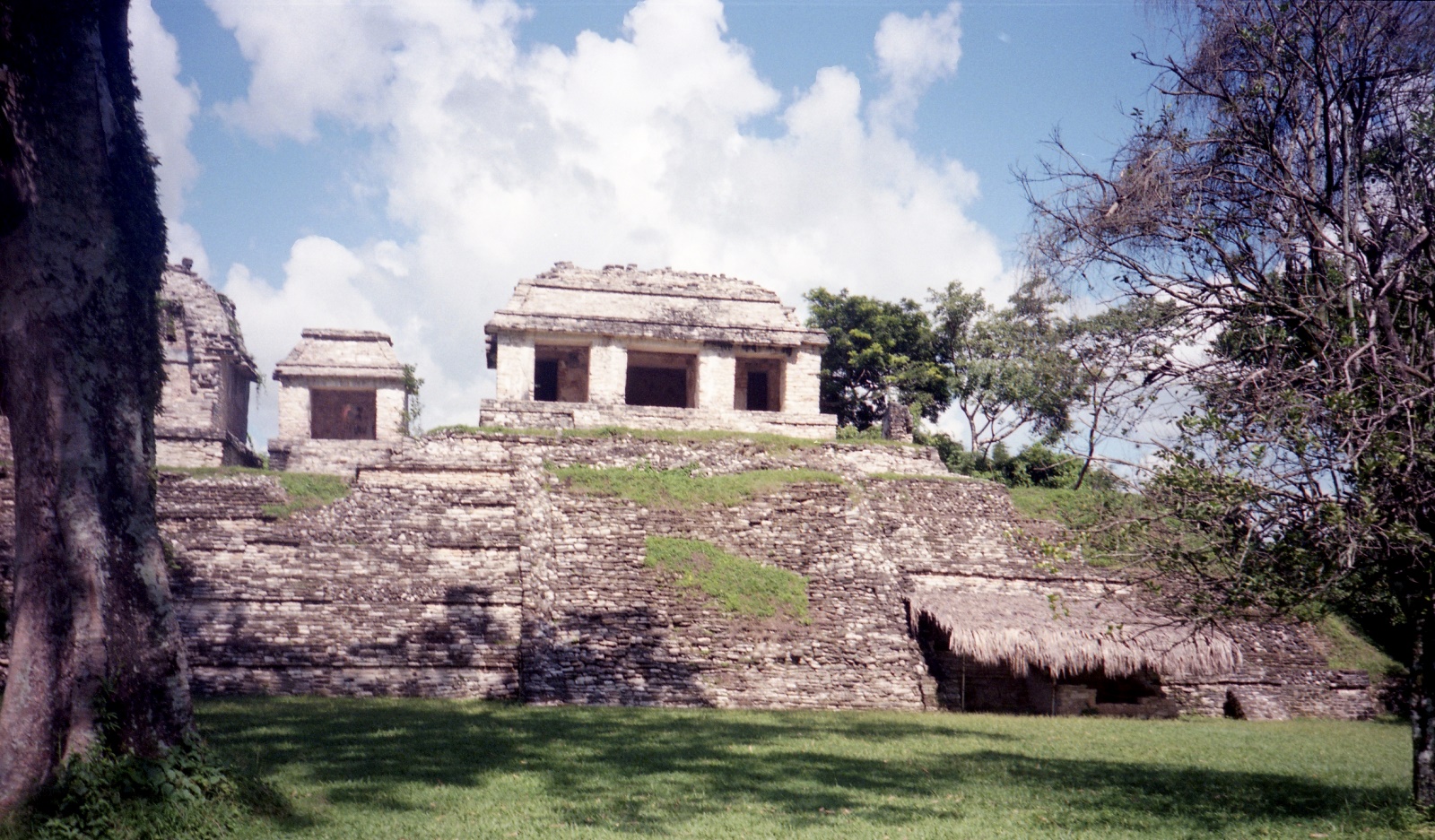 19961119 310   Palenque   Mexico Film 01 Fnr 010